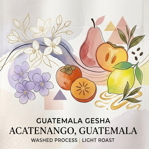 Guatemala Acatenango Gesha
